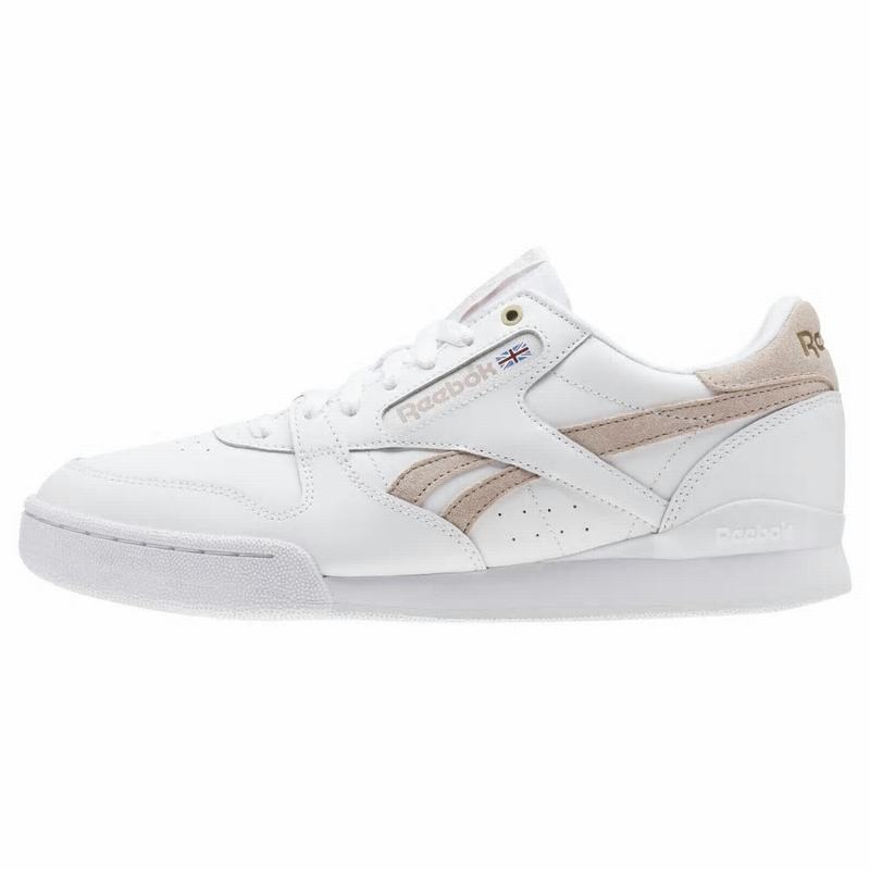 Tenisi Reebok Phase 1 Pro X Montana Cans Barbati Albi/Gri Romania VB7896XP